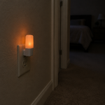 Plug-in night light