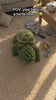 turtle onesie tiktok 2