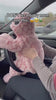 turtle onesie tiktok 4